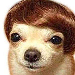 Meet your Posher, Ronan